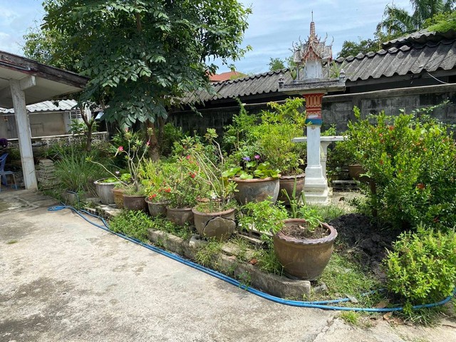 ขายบ้านเดียว 3 ชั้น ซอยหมอศรี หลัง โรงเรียนแซฟ 5 ห้องนอน 3 ห้องน้ำ นครปฐม