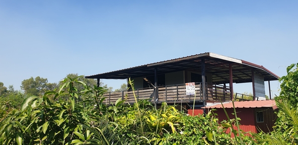 ที่ดิน ล้อมรอมไปด้วยสวน ต้นไม้ เงียบสงบ ตำบล คลองใหญ่ อำเภอองครักษ์ จ.นครนายก