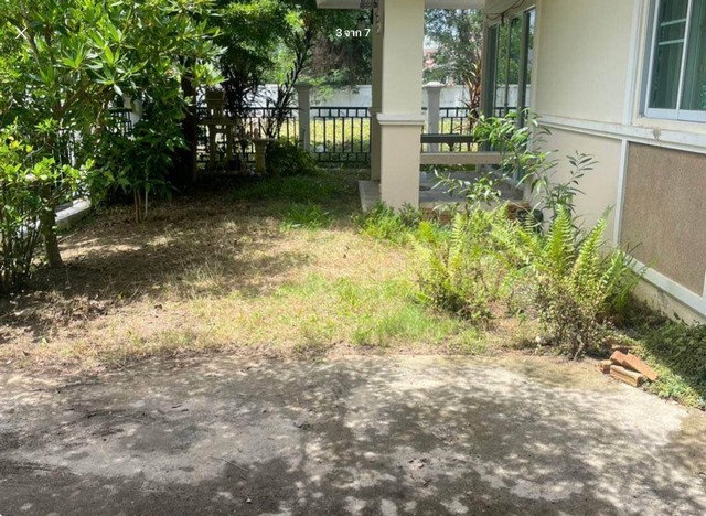 ประกาศขายบ้านเดี่ยว ชั้นเดียว หมู่บ้านสมหวัง สันกำแพง