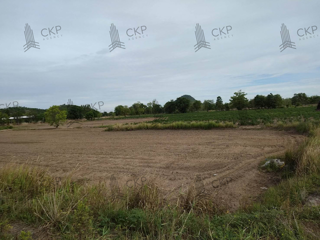 ขาย ที่ดินเปล่า ขนาด 61 ไร่ 282 ตร.วา เหมาะทำอุตสาหกรรม ต.หนองกระโดน อ.เมือง นครสวรรค์