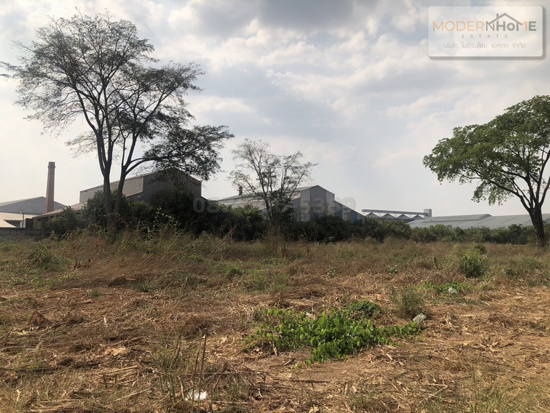 MDH6710 ขายที่ดินติดถนนมิตรภาพ 17 ไร่ 1 งาน 3 ตารางวา หน้ากว้าง 155 เมตร ลึก 165 เมตร ตำบลนากลาง อ.สูงเนิน นครราชสีมา