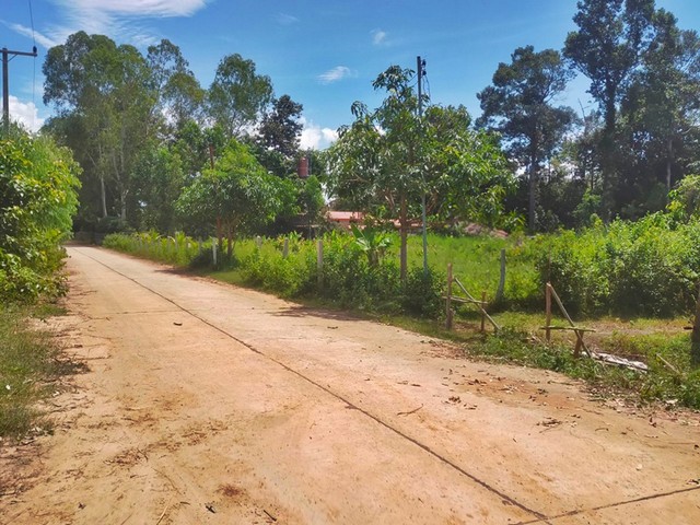 ขายที่ดิน  ต.เกาะแก้ว อ.เสลภูมิ จ.ร้อยเอ็ด  PAP2-0492