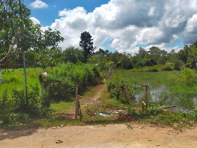 ขายที่ดิน  ต.เกาะแก้ว อ.เสลภูมิ จ.ร้อยเอ็ด  PAP2-0492