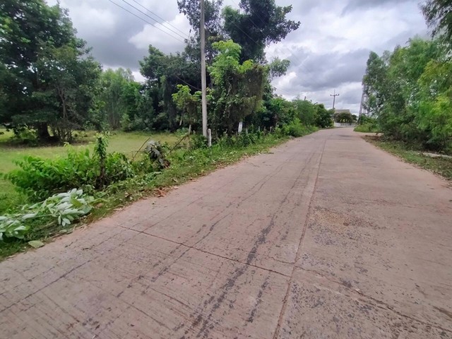 ขายที่ดิน ต.เมืองบัว อ.เกษตรวิสัย จ.ร้อยเอ็ด  PAP4-0245