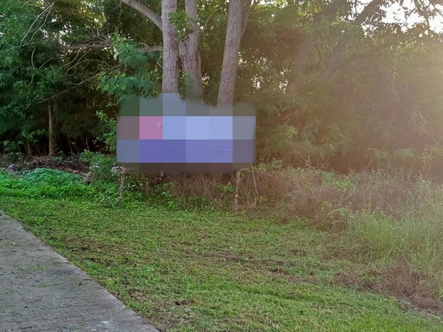 ขายที่ดิน             ชัยบาดาล  ลพบุรี (PAP-6-0044)