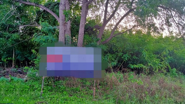 ขายที่ดิน             ชัยบาดาล  ลพบุรี (PAP-6-0044)