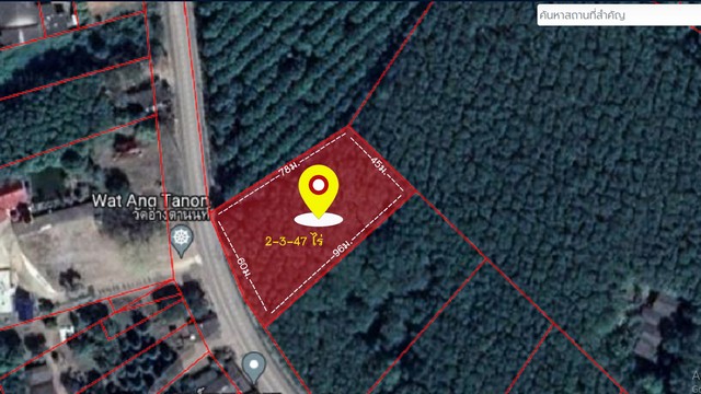 ขายสวนยางใกล้ถนนบายพาสเลี่ยงเมืองแกลง ฝั่งที่ว่าการอำเภอแกลง จ.ระยอง