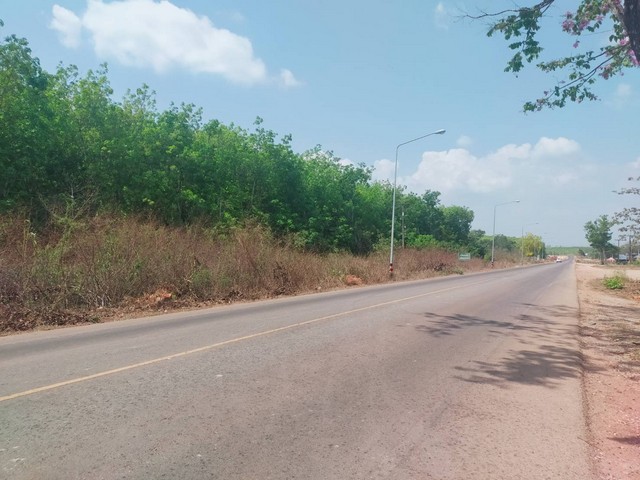 ขายสวนยาง 191 ไร่ติดถนนลาดยาง เขตเขาวงกต อ.แก่งหางแมว จ.จันทบุรี