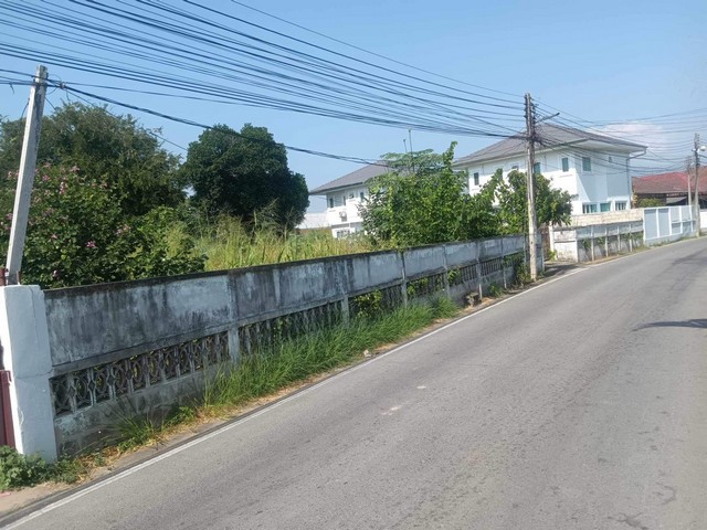 พื้นที่ดิน ขายที่ดินเปล่า หลัง ร.พ.หางดง, จ.เชียงใหม่ (0-2-48 ไร่ / 248 ตร.ว.), ทั้งหมด 4.1 ล้านบาทเท่านั้น!!! 4100000 บาท  ใหญ่ 48 Square Wah 2 Ngan 0 Rai ใกล้ ร.พ.หางดง จ.เชียงใหม่ ราคาดีที่สุด