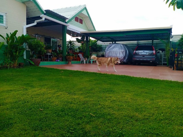 ขายบ้านเดี่ยวชั้นเดียวหมู่บ้านฉันใกล้ตลาดผลไม้ตะพง เมืองระยอง โซนบ้านใหม่