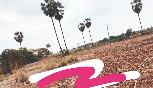 อสิงห์หาทรัพย์ดีให้คุณเลือกซื้อพร้อมโปรและเงื่อนไขพิเศษ   ขาย ทางสายหลักผ่านหลากหลายจังหวัดแห่งเมืองไทย  ชุมแสง  จ.นครสวรรค์ 300000 บาท.วิวแม่น้ำเกษตรดีงามสวยสมบูรณ์