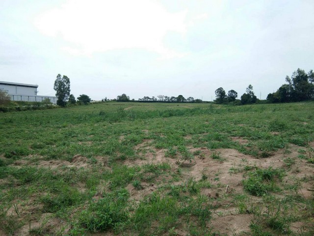 ที่ดินสำหรับสร้างโรงงานผังสีม่วงลายเขตปลวกแดง 44 ไร่ มาบยางพร จ.ระยอง