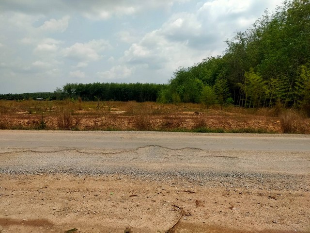 ที่ดินปรับถมทำโคกเพื่อปลูกทุเรียน ใกล้ถนนเส้น 344 เขตชุมแสง วังจันทร์ จ.ระยอง