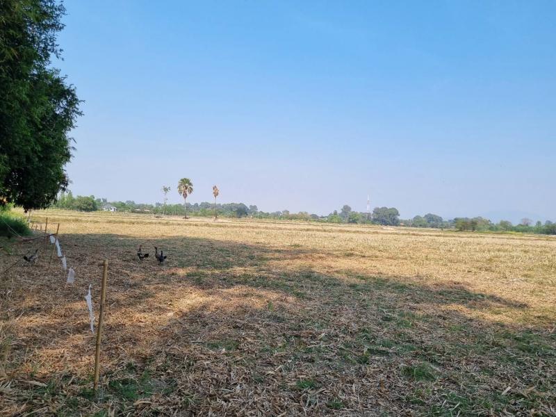 ขายด่วนที่ดิน เนื้อที่ 13 ไร่ 3 งาน ตำบลบ้านนา อำเภอบ้านนา จังหวัดนครนายก 