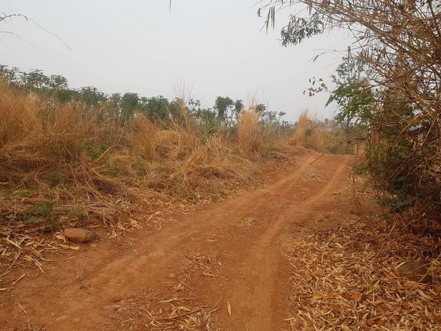 อสิงห์หาทรัพย์ดีให้คุณเลือกซื้อพร้อมโปรและเงื่อนไขพิเศษ     ขาย ธรรมชาติเนินเขา ที่ดินโฉนดแบ่งขาย สวยๆ ท่ามกลางธรรมชาติหล่มเก่า ดินดีทำเกษตรงาม  ที่ดินดีสมบูรณ์ หล่มเก่า เพชรบูรณ์ ใกล้ภูทับเบิก โทร 0968821857