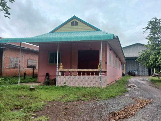 ขาย บ้านเดี่ยว 1 ชั้น และโกดัง ต.หมูม้น อ.เชียงขวัญ จ.ร้อยเอ็ด  PAP2-0556