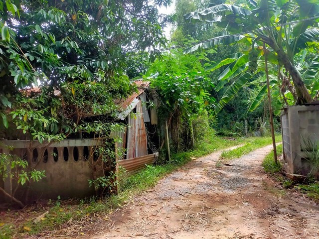 ขายที่ดิน ต.จังหาร อ.จังหาร จ.ร้อยเอ็ด 1845 ตรว.  PAP1-0269