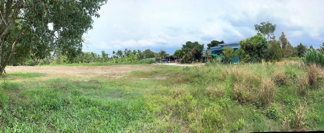 ขายที่ดินเปล่า 3-1-60 ไร่ ถนนสุขุมวิท-หนองศรีมงคล ตำบลตะพง อำเภอเมืองระยอง จังหวัดระยอง