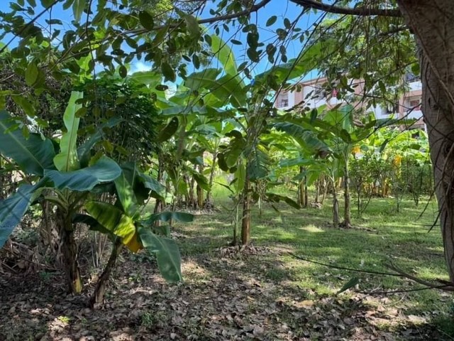ที่ดิน โซนเมือง ใกล้รพ.ลานนา สภาพแวดล้อมดี เงียบสงบ