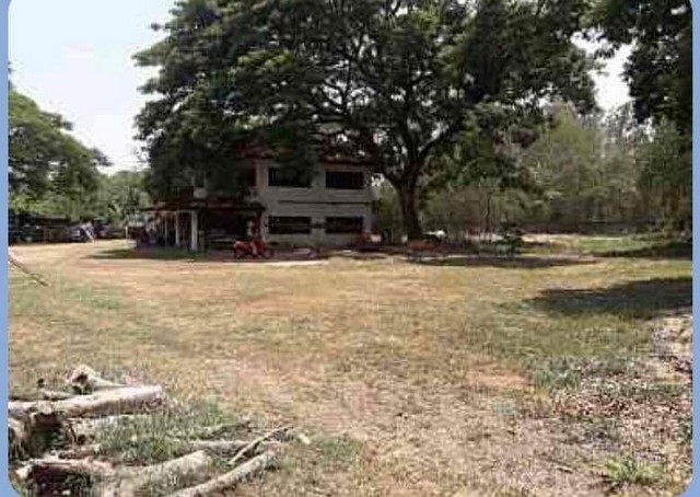 ที่ดิน โซนแม่เหียะ เมืองเชียงใหม่                          