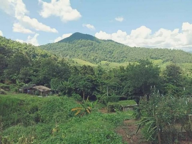 ที่ดินวิวสวยอากาศดี เอกสารโฉนด สะเมิงเหนือ