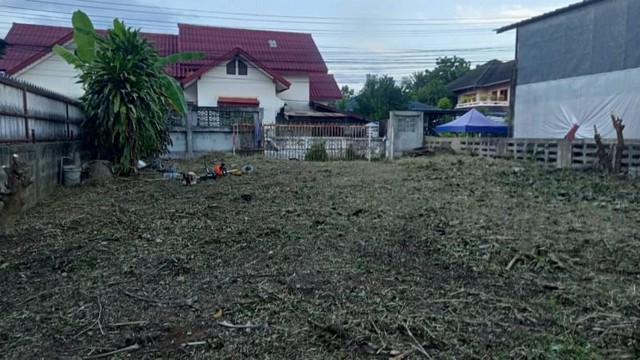 ขายที่ดิน หลังตลาดหนองหอย แหล่งชุมชน                      