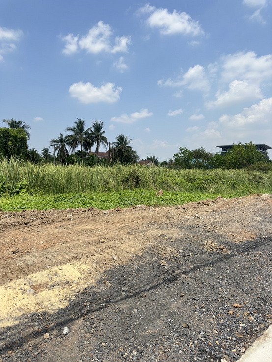 ขายที่ดินแปลงสวยทำเลดีเหมาะสร้างบ้านอยู่ถนนราชพฤกษ์เข้าซอยเพียง100ม. บางรักน้อย นนทบุรี 