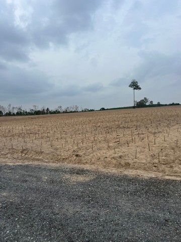 ขายที่ดินผังสีเหลือง 53 ไร่เข้าไม้แก้ว บางละมุง ชลบุรี