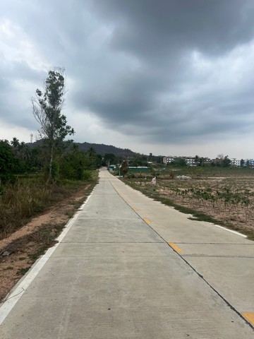 ขายที่ดินผังสีส้มติดถนนทางหลวงแผ่นดินสายสัตหีบ-ฉะเชิงเทรา 44 ไร่ เขาไม้แก้ว บางละมุง