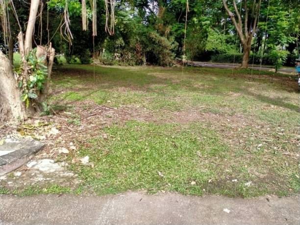 โซนแม่ริม ขาย 2.3 ล้าน 106 ตรว. ที่ดินพร้อมสิ่งปลูกสร้าง ในโครงการ กรีนวัลเล่ย์ แม่ริมใต้ ใกล้เมือง เดินทางสะดวกสบาย