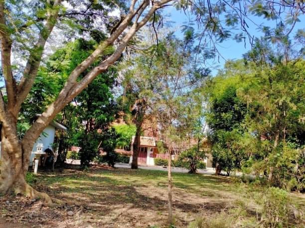 โซนแม่ริม ขาย 2.3 ล้าน 106 ตรว. ที่ดินพร้อมสิ่งปลูกสร้าง ในโครงการ กรีนวัลเล่ย์ แม่ริมใต้ ใกล้เมือง เดินทางสะดวกสบาย