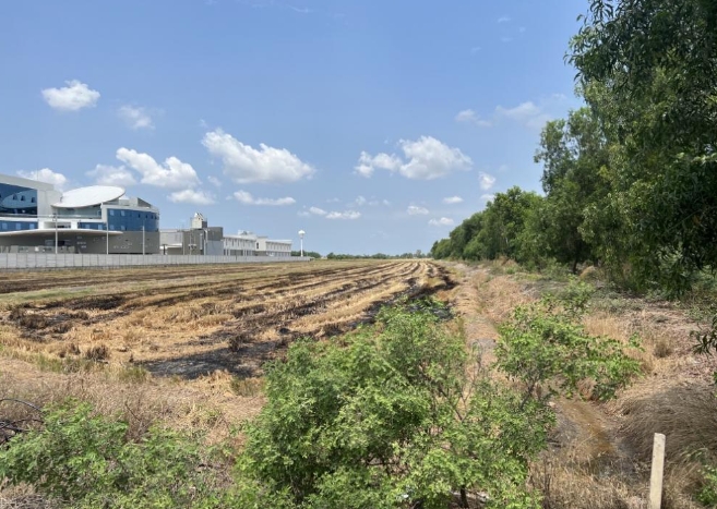 ขายที่ดิน ผังสีม่วง 18 ไร่ ใกล้ตลาดปองพล อ.เมือง จ.ฉะเชิงเทรา 