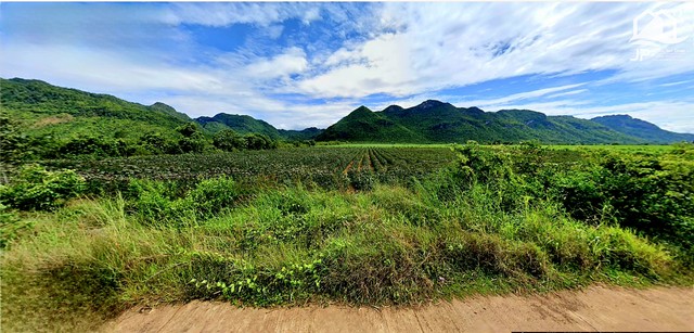 ขายที่ดินติดถนนคอนกรีต ช่องสะเดา เมืองกาญจนบุรี 49 ไร่  ติดเขาและเห็นวิวเขา ใกล้แหล่งชุมชน  เหมาะทำการเกษตร ทำสวน หรือซื้อเก็บไว้ได้