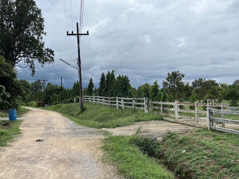 ขายสวนทุเรียน 13ไร่ 1งาน 27ตร.วา อยู่ต.เขาบายศรี อ.ท่าใหม่ จ.จันทบุรี