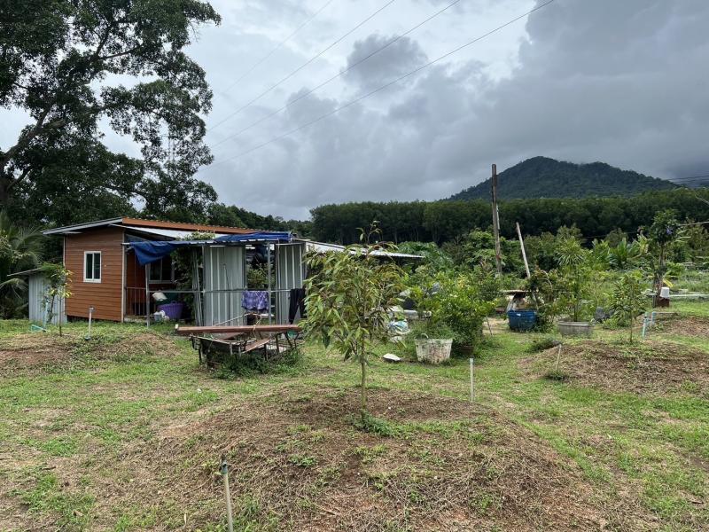 ขายสวนทุเรียน 13ไร่ 1งาน 27ตร.วา อยู่ต.เขาบายศรี อ.ท่าใหม่ จ.จันทบุรี