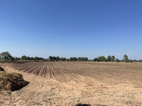 ขายที่ดิน 19-0-69.5 ไร่  ตำบล ทับยายเชียง อำเภอ พรหมพิราม, พิษณุโลก