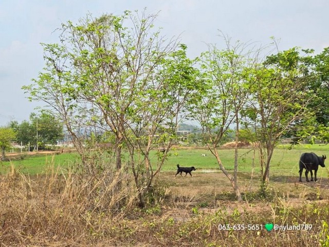 ขายที่ดินสวยวิวภูเขา ถมแล้วบางส่วน ประมาณ 1 ไร่ ต.ศรีนาวา อ.เมือง จ.นครนายก โฉนดครุฑแดง