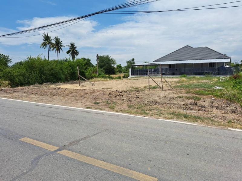 ขายที่ดินเปล่าแปลงสวย 100 ตรว. ติดถนน อ.วิเศษชัยชาญ จ.อ่างทอง