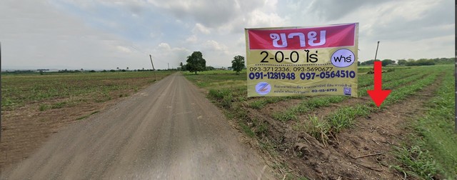 ขายทึ่ดินสวยติดถนน  2-0-0 ไร่     ปากช่อง   ต.วังไทร  อ.ปากช่อง  จ.นครราชสีมา  ZE628