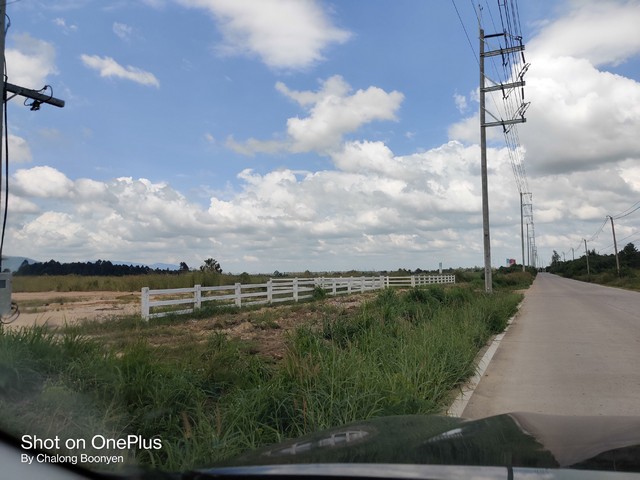 ขายที่ดินเขตพื้นที่ EEC ผังสีเหลือง อ.บ้านบึง จ.ชลบุรี