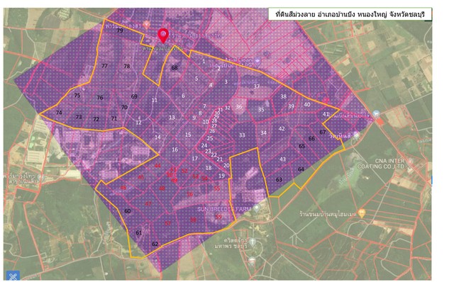 ขายที่ดินสร้างโรงงานผังสีม่วงลาย เขตหนองอิรุณ บ้านบึง ชลุบรี 2700 ไร่