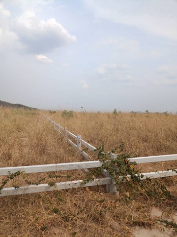 ขายที่ดินเปล่า ทั้งหมด 14 ไร่ แบ่งขายได้ อ. สวนผึ้ง จ.ราชบุรี