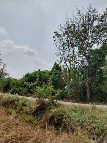 ขายที่ดินเปล่า 2 แปลงติดกัน แต่ละแปลงเนื้อที่ 266 ตารางวา