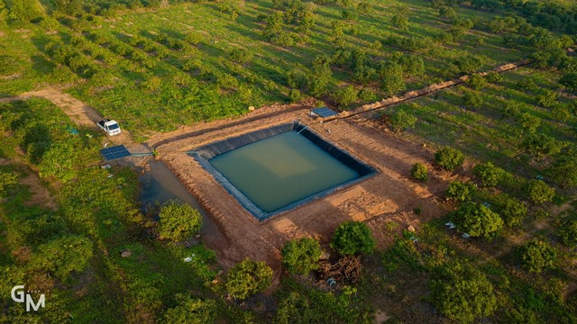 ขายที่ดิน พร้อมไร่มะม่วง พร้อมระบบน้ำ อ.วัดโบสถ์ จ.พิษณุโลก  37 ไร่ 2 งาน