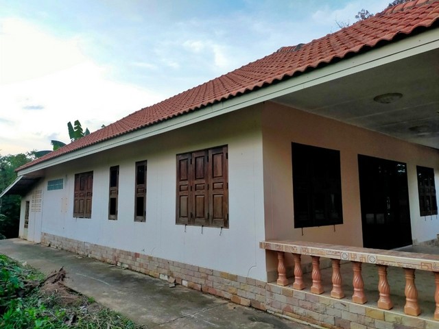 ขาย บ้านเดี่ยว 1 ชั้น ต.ปะโค อ.เมืองหนองคาย จ.หนองคาย  PAP5-0158