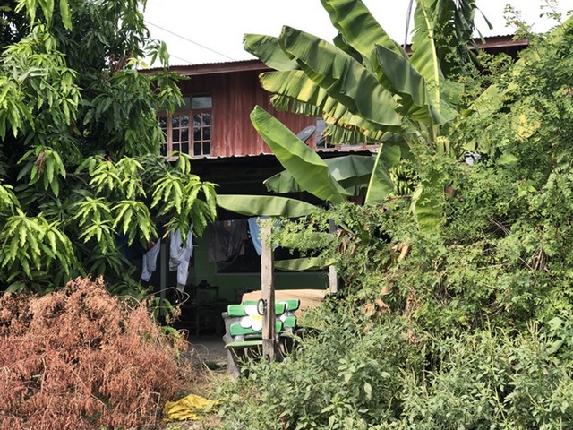 ขาย บ้านพักอาศัยครึ่งตึกครึ่งไม้ 2 ชั้น ต.เมืองไผ่ อ.กระสัง จ.บุรีรัมย์ PAP7-0528