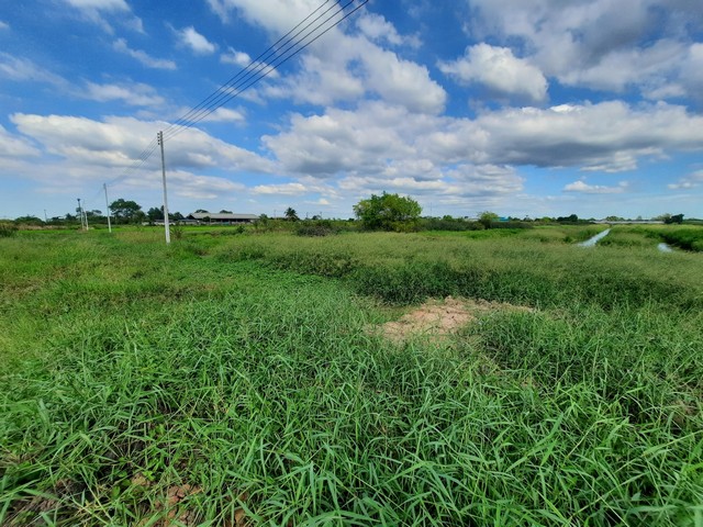 ที่ดินคลองเจ็ด ติดถนนธัญบุรี-วังน้อย หน้ากว้างติดถนนธัญบุรี-วังน้อย  45  เมตร