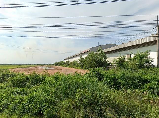 ให้เช่าที่ดินผังสีม่วงลายจุด 30 ไร่ ถมแล้ว ติดถนนใหญ่ ใกล้ตลาดปองพล ตําบลคลองอุดมชลจร อ.เมืองฉะเชิงเทรา ใกล้ถนนสุวินทวงศ์