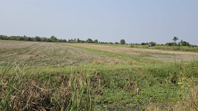 ขายที่ดินหลายแปลง5,2,4,7และ18ไร่ ใกล้ทะเลหาดเจ้าสำราญจ.เพชรบุรี ไร่ละ2.5ล้านบาทพร้อมโอน