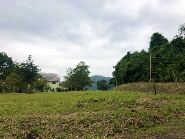 ขายที่ดิน 470 ตร.ว ย่านอ.มวกเหล็ก จ.สระบุรี แปลงมุม ในสนามกอล์ฟเซอร์เจมส์คันทรีคลับ  Forest Hill